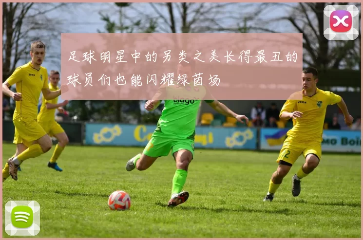 足球明星中的另类之美长得最丑的球员们也能闪耀绿茵场