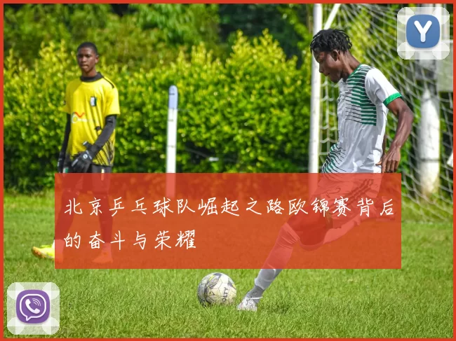 北京乒乓球队崛起之路欧锦赛背后的奋斗与荣耀