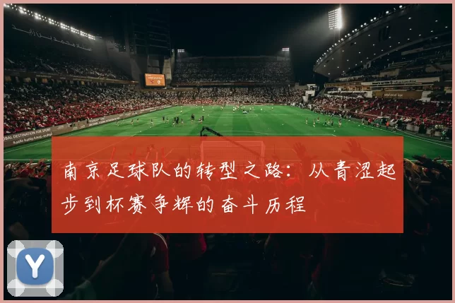 南京足球队的转型之路：从青涩起步到杯赛争辉的奋斗历程