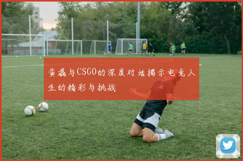 黄磊与CSGO的深度对话揭示电竞人生的精彩与挑战