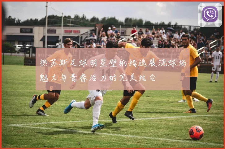 热苏斯足球明星壁纸精选展现球场魅力与青春活力的完美结合