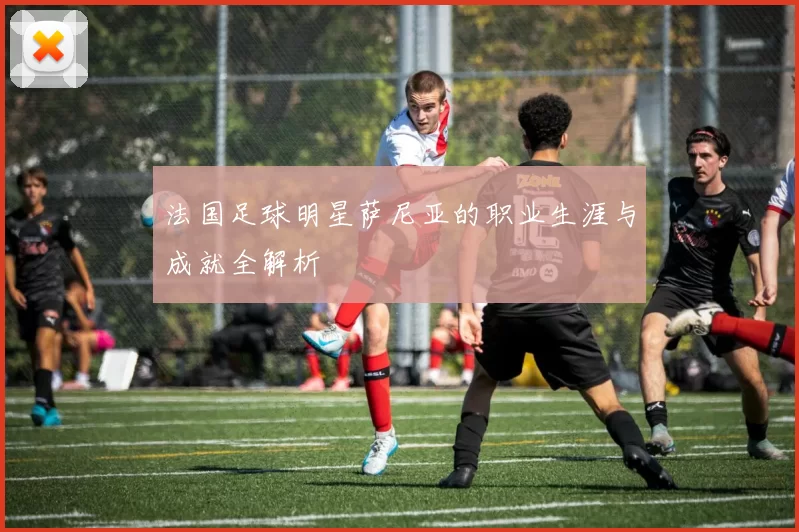 法国足球明星萨尼亚的职业生涯与成就全解析