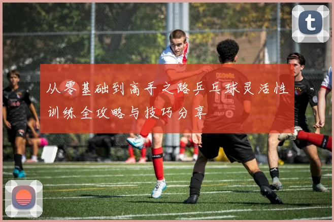 从零基础到高手之路乒乓球灵活性训练全攻略与技巧分享