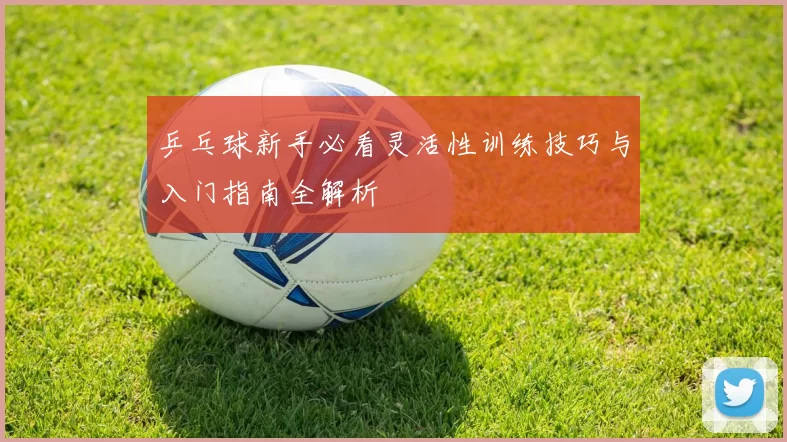乒乓球新手必看灵活性训练技巧与入门指南全解析