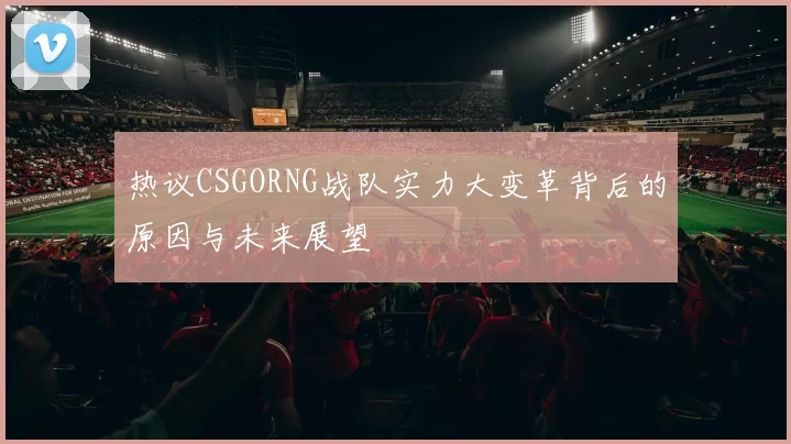 热议CSGORNG战队实力大变革背后的原因与未来展望