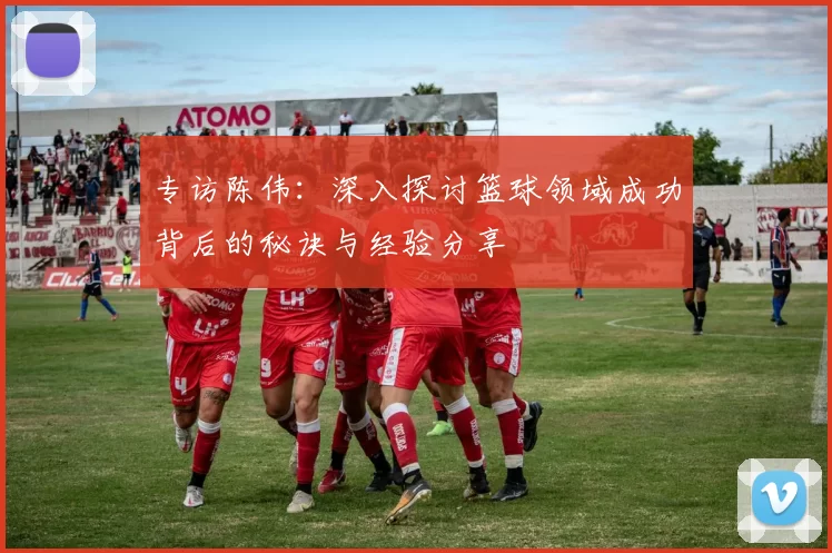 专访陈伟：深入探讨篮球领域成功背后的秘诀与经验分享