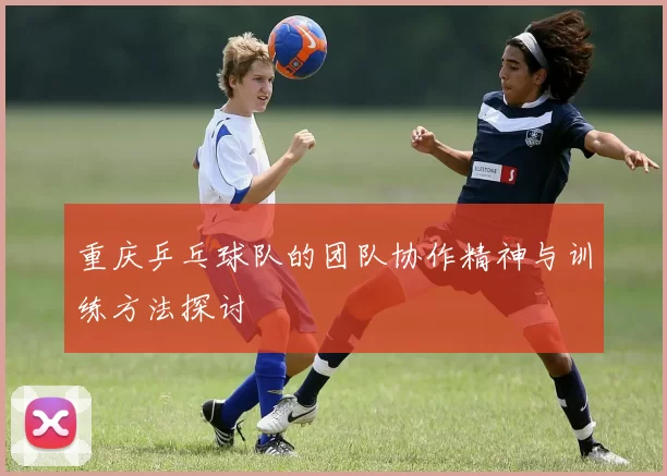 重庆乒乓球队的团队协作精神与训练方法探讨