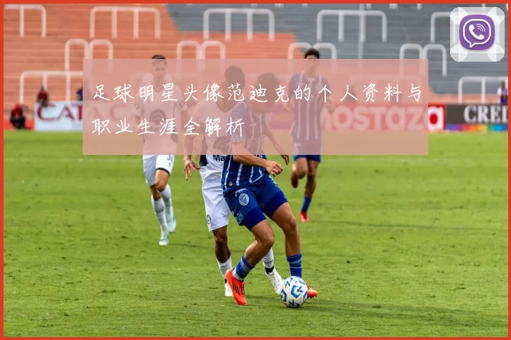 足球明星头像范迪克的个人资料与职业生涯全解析