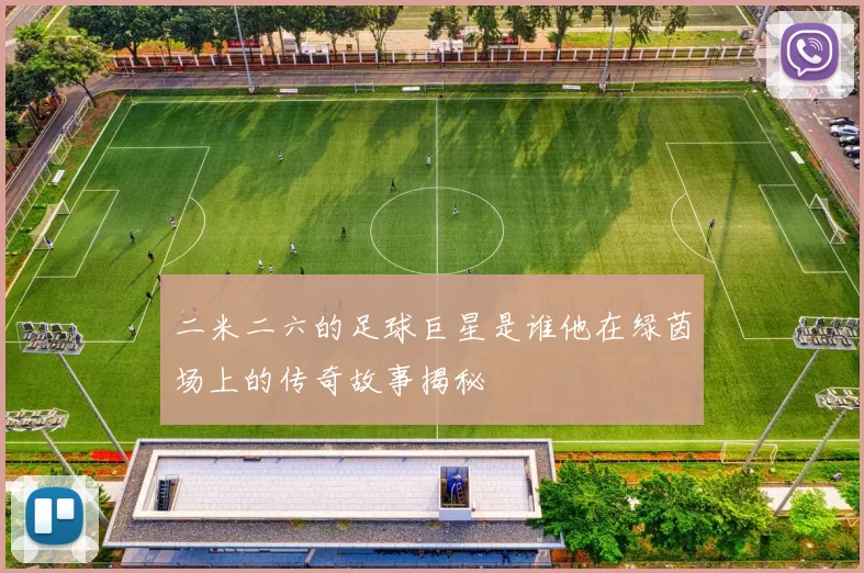 二米二六的足球巨星是谁他在绿茵场上的传奇故事揭秘