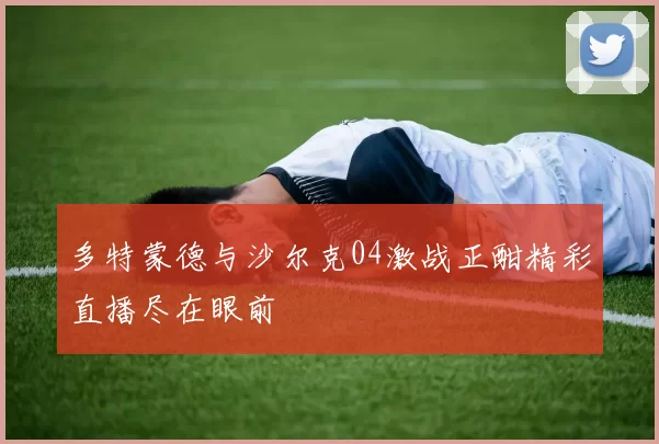 多特蒙德与沙尔克04激战正酣精彩直播尽在眼前