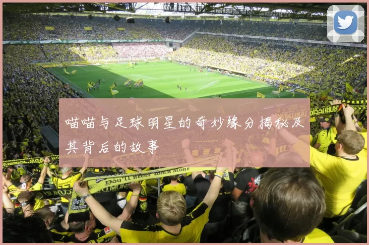 喵喵与足球明星的奇妙缘分揭秘及其背后的故事