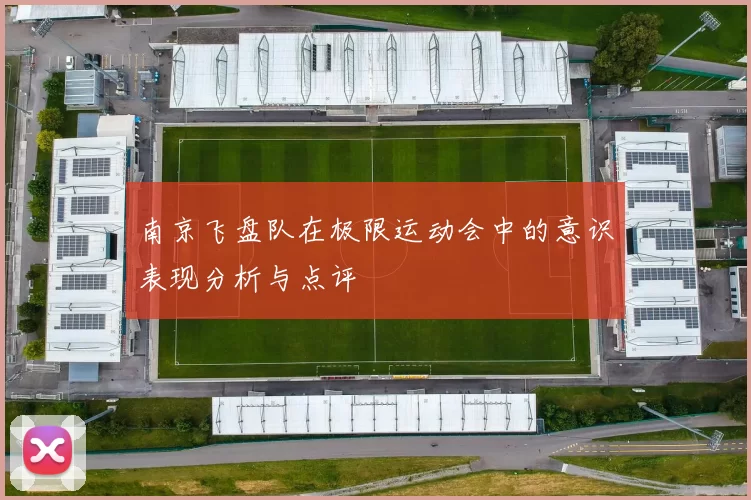 南京飞盘队在极限运动会中的意识表现分析与点评