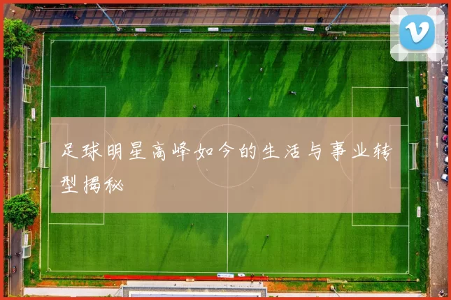 足球明星高峰如今的生活与事业转型揭秘