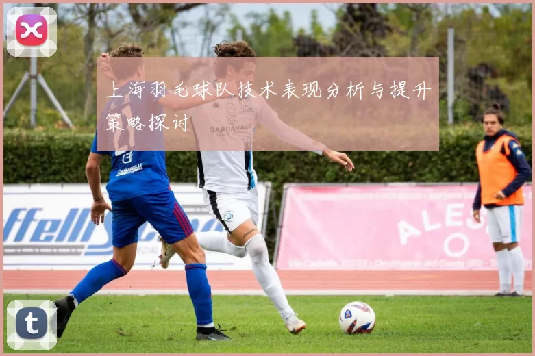 上海羽毛球队技术表现分析与提升策略探讨